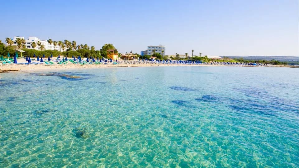 Türkiye'nin Akdeniz Kıyısında Tüp Bebek: Antalya, Mersin ve Adana