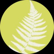 Fertility PLUS (Auckland District Health Board) — Auckland, Yeni Zelanda tüp bebek kliniği