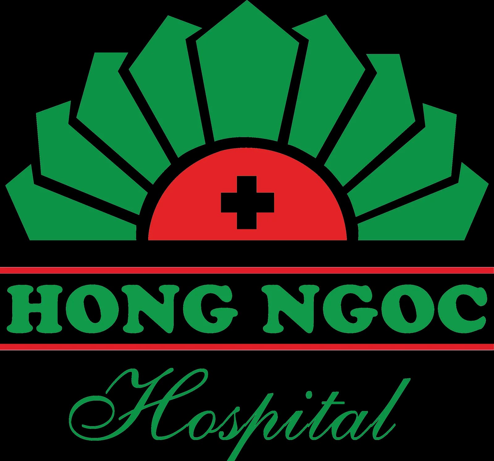 Hong Ngoc General Hospital - IVF Center — Kinderwunschklinik in Hanoi, Vietnam
