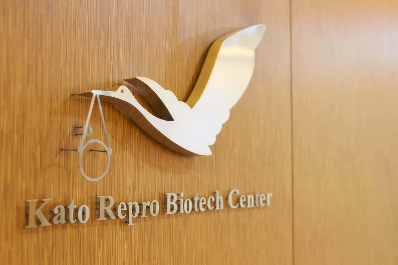 Kato Repro Biotech Center — عيادة أطفال الأنابيب في Manila، Philippines