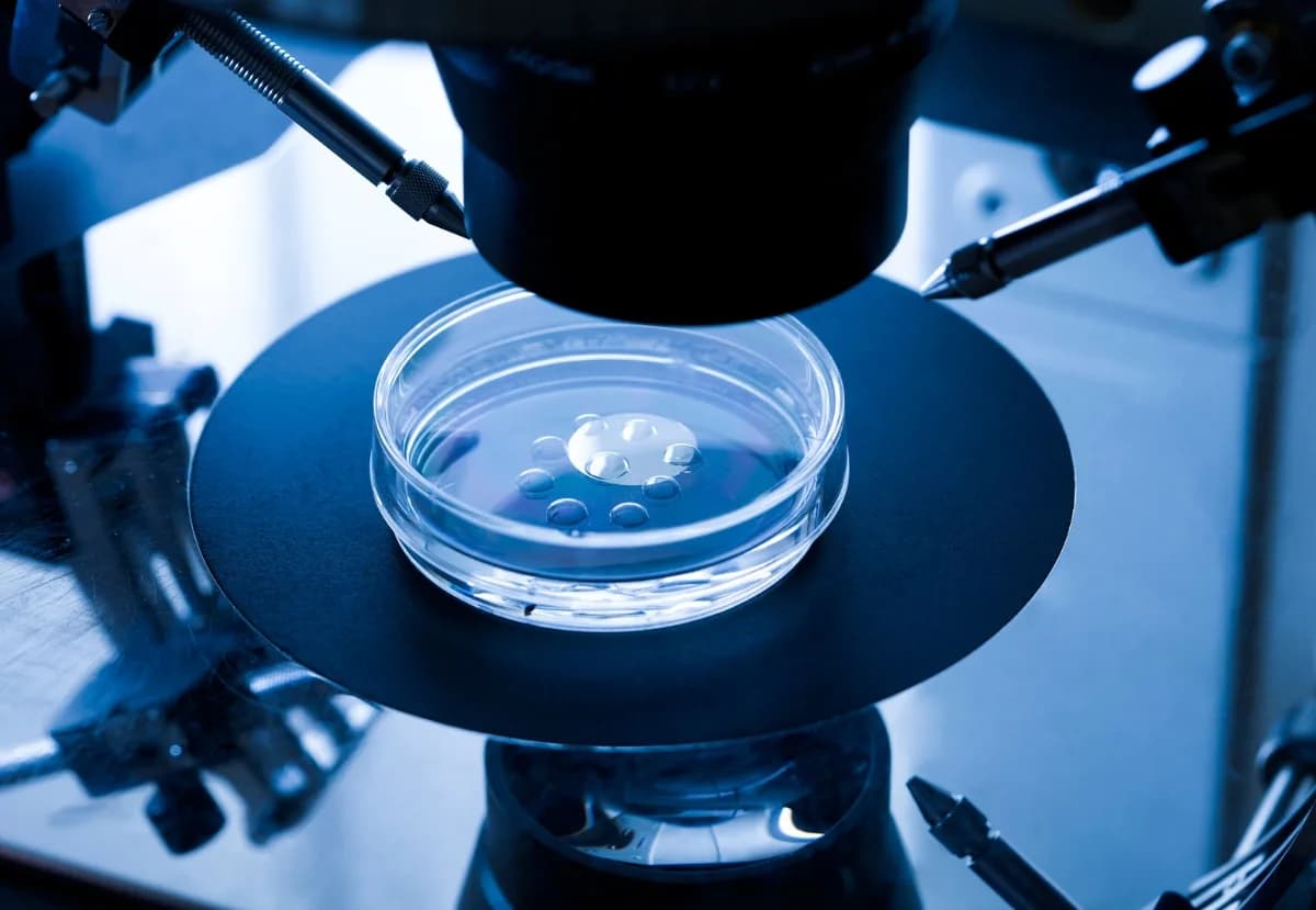 Pelargos IVF Medical Group — عيادة أطفال الأنابيب في Athens، اليونان — صورة 3