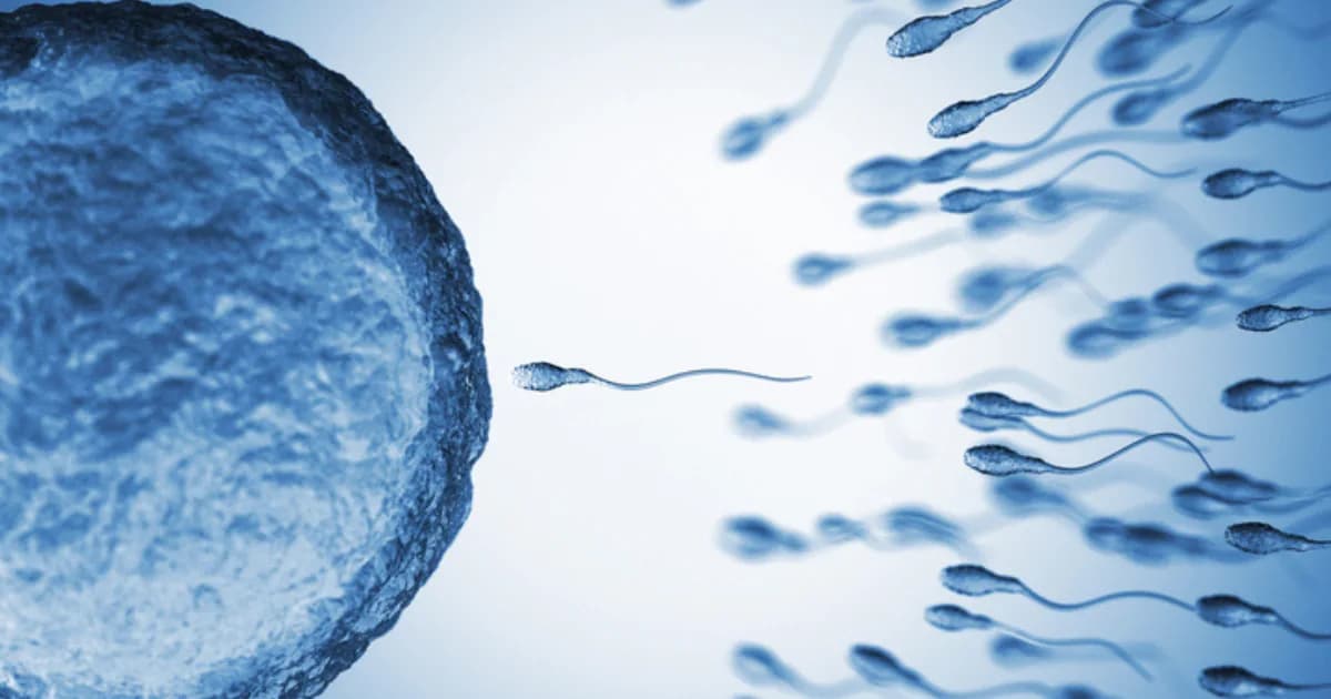 Thomson Fertility Centre — clínica de fertilidad en Singapore, Singapur