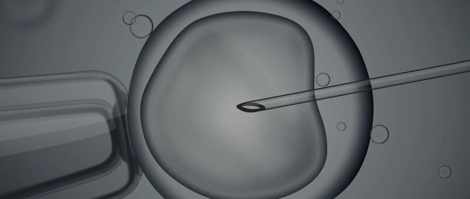 TRIO Fertility — IVF clinic in Toronto, Canada