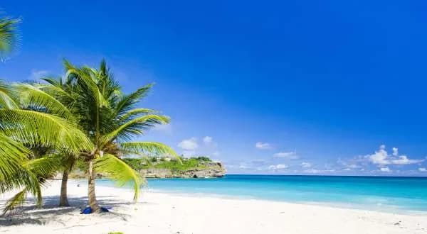 Barbados Fertility Centre — عيادة أطفال الأنابيب في Christ Church، Barbados — صورة 2