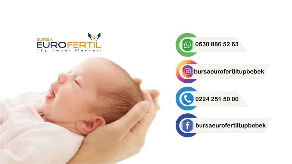 Bursa Eurofertil Tüp Bebek Merkezi, clínica de fertilidad en Bursa, Turquía — foto 2