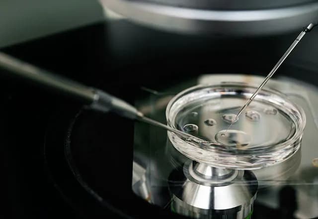 İstanbul Tüp Bebek ve Kadın Sağlığı Merkezi 5